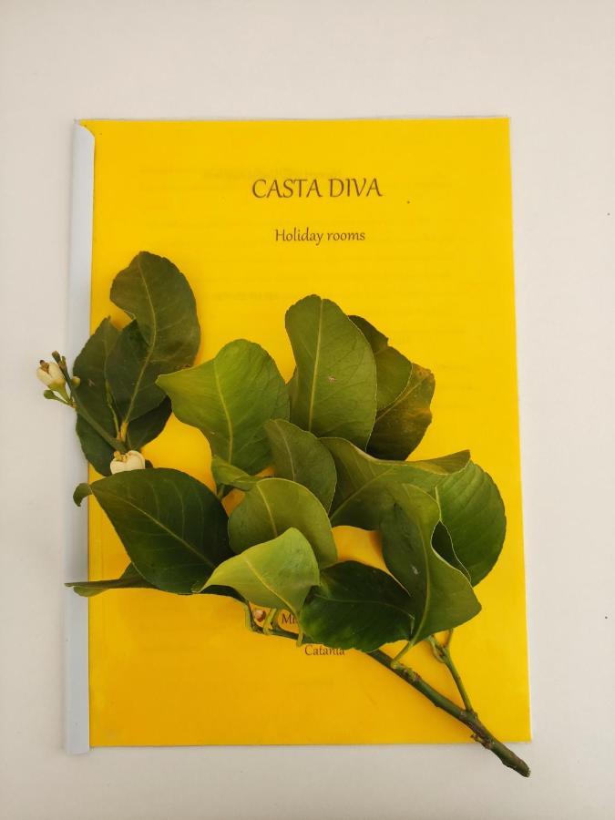 Casta Diva Holiday Rooms 卡塔尼亚 外观 照片