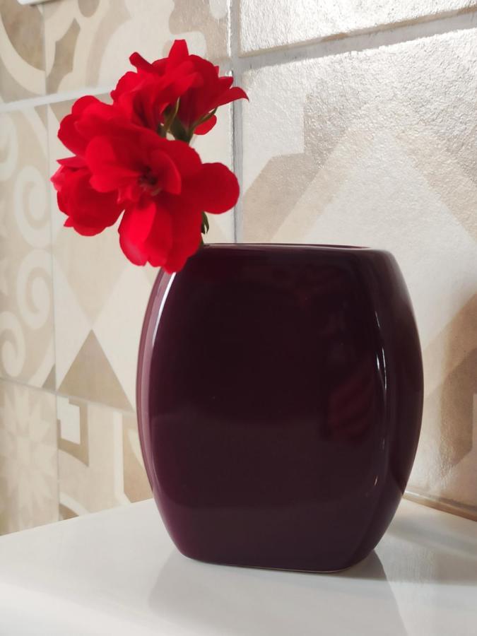 Casta Diva Holiday Rooms 卡塔尼亚 外观 照片